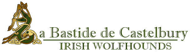 La Bastide de Castelbury, Irish Wolfhounds depuis 1986